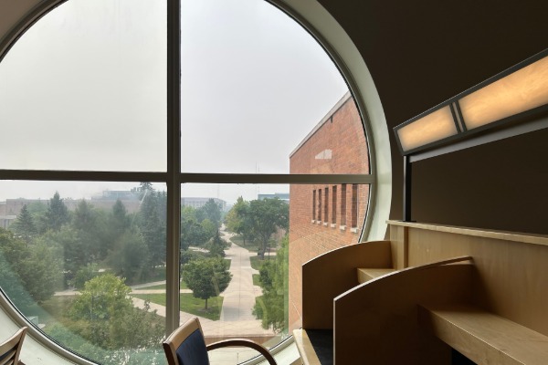 a round window with a view of the central sidewalk and trees