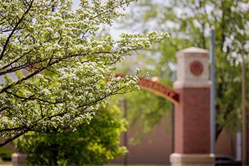 A picturesque view of campus, where lush greenery meets stunning architecture under a clear blue sky with arch.