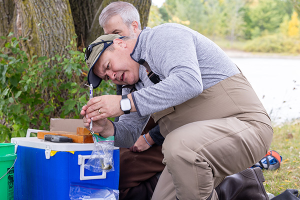 A faculty member in waders, down on one knee, examining a sample from a nearby river.