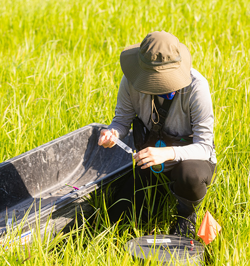 A student taking environmental samples in a large field