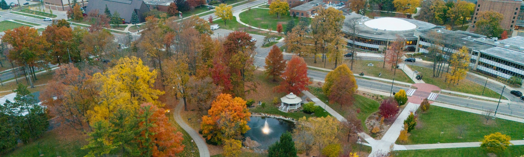 A birds eye view of leafy trees with fall colors, green grass, white walkways and buildings