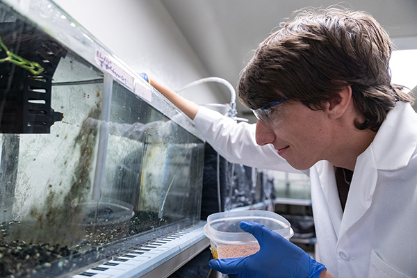A man wearing a lab coat and safety glasses feeds fish in a fish tank.