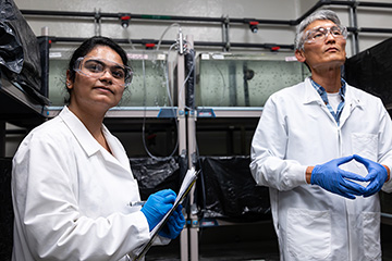 20251007_DijkstraVivarium_360x240