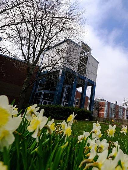 a building with flowers in front of it