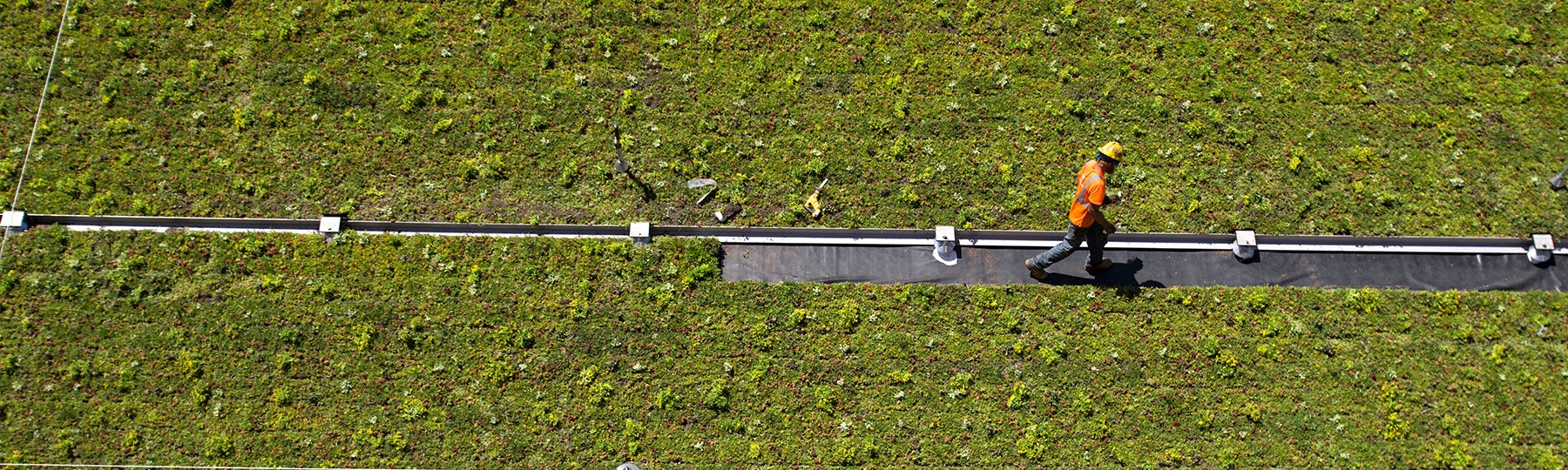 A green field with plants and a drainage pipe. A worker walks along the field in a orange vest and hard hat.