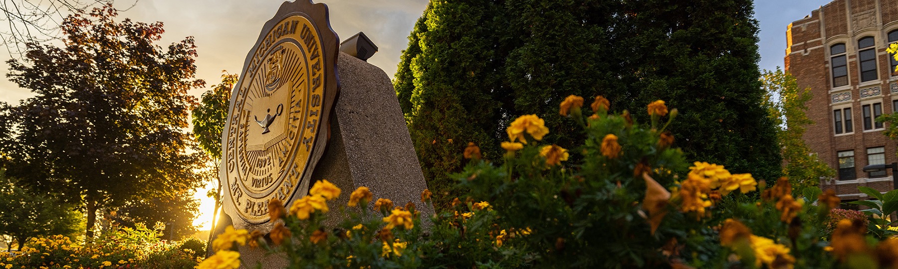 Seal with fall background_1800x540 CMU Seal with sunset in background