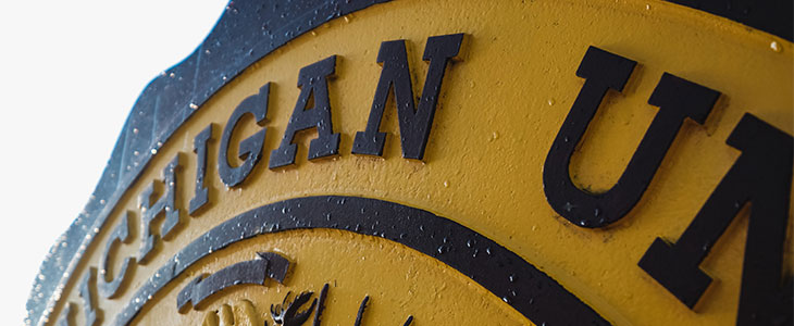 Statement Allegations involving alumni and employees