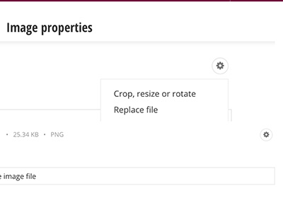 A screenshot of the options to edit an existing image in Sitefinity.