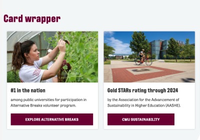 example of card wrapper widget