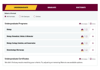An image of the program list widget's view.