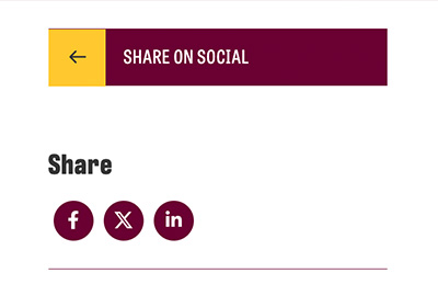 A screenshot of the share on social widget in the left sidebar.