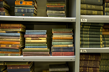 A stack of books on shelves