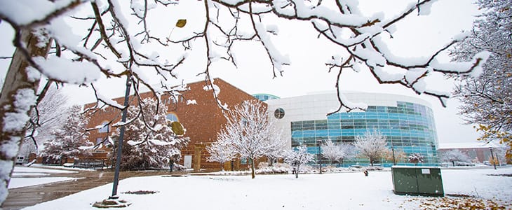winter-library-730x300