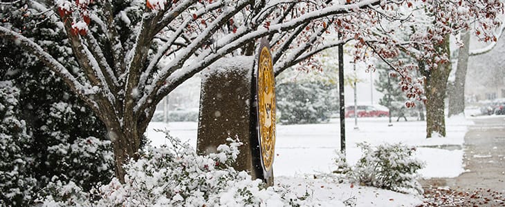 winter-seal-730x300