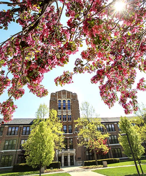 Pink tree blossoms frame this photo of Warriner Hall, the administration building at CMU.