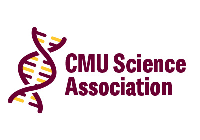 RSO name example, a DNA strand sits left in maroon and gold, the words 