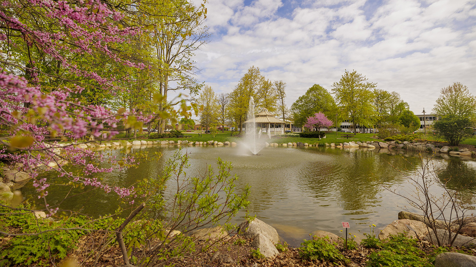 A wide-angle view of the Fabiano Botanical Garden as trees and the sky reflect off the pond.