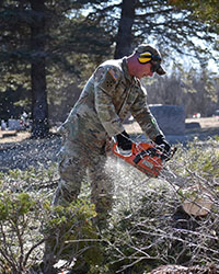 Wood chips spray right to left as a man in camouflage and ear-protecting muffs uses a chainsaw on a downed tree limb.