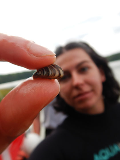 Two fingers pinch down on a small shell with zebra-style stripes with a young woman blurred in the background.