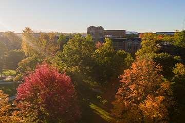 A tall brick building with colorful trees in front.