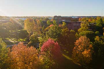 THUMBearlyWarrinerDrone