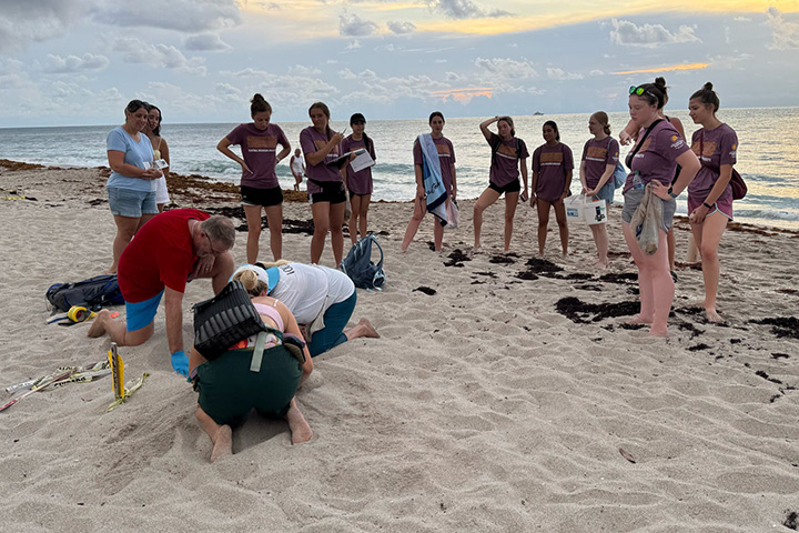A group of young people stand in a semicircle on a beach watching two people dig a hole in the sand with their hands