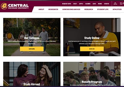 A screenshot of a webpage in Sitefinity showing the image card callout widget.