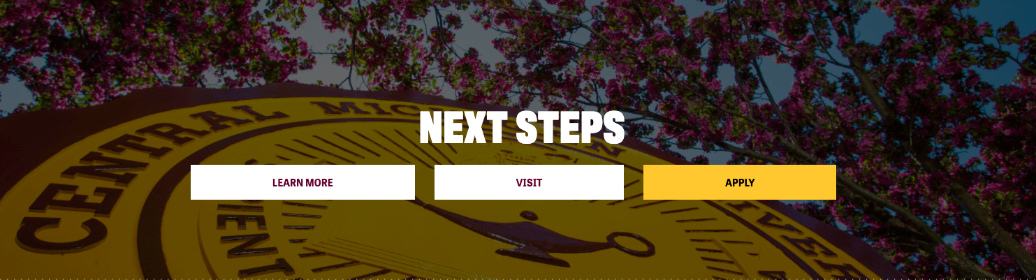 Next Steps Callout Widget